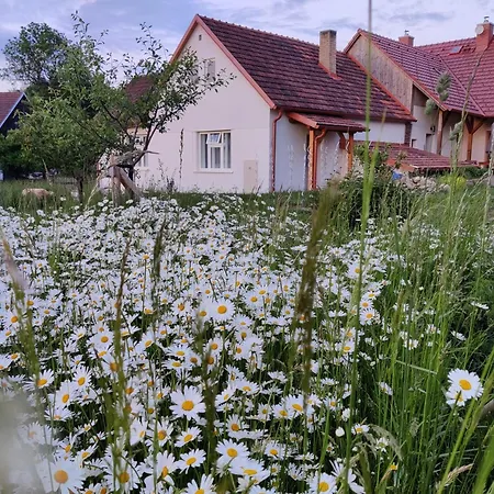 Tatil Evi V Okrouhle Radouni *